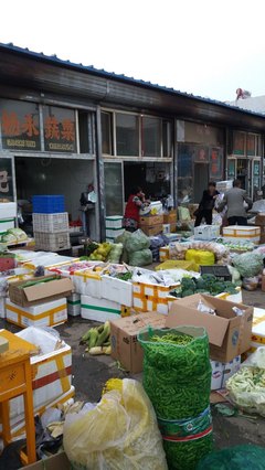 了解城市的昨天看博物馆,了解城市的今天看菜市场--呼和浩特市内蒙古博物院、东瓦窑农副产品市场参观记 - 呼和浩特游记攻略【携程攻略】